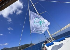 La Green Week di Acqua dell'Elba: Impegno per l'Isola d'Elba e l'Ambiente