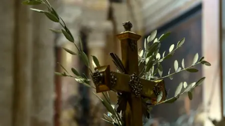 La Via verso la Pasqua: Riflessioni e Simboli nella Domenica delle Palme